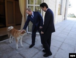 Владимир Путин, Синдзо Абэ и путинская собака Юмэ редкой японской породы. Сочи, 8 февраля 2014 года