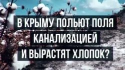 Засуха побеждена? Российские технологии для Крыма (видео)