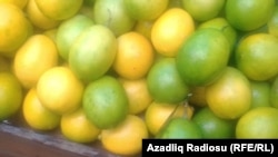 Yalnız limonun qiyməti aşağıdır.