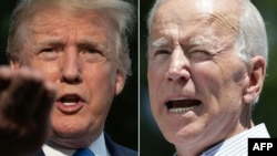 D.Trump/J.Biden